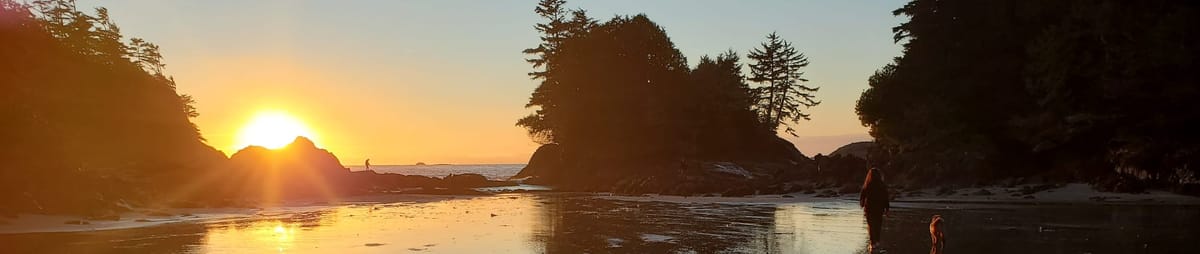 A photo of MacKenzie Beach, Tofino at Sunset